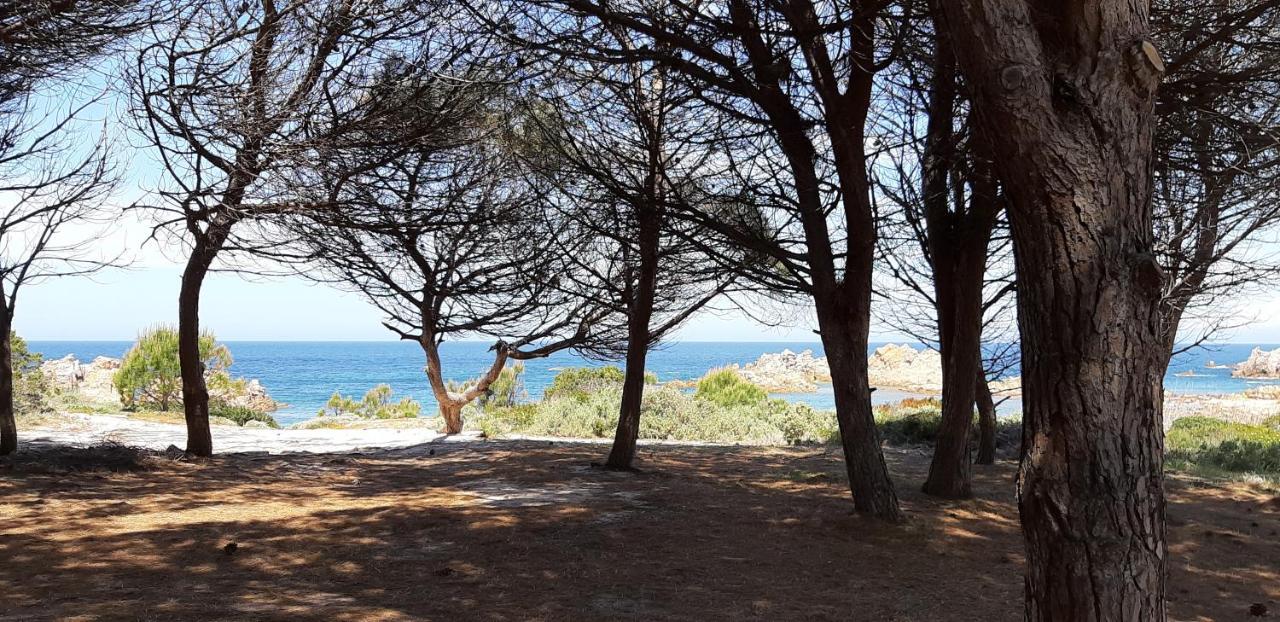 Mare Natura Confort... Il Mio Paradiso In Sardegna อิโซลา โรสซา ภายนอก รูปภาพ